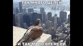 Влог N2 (05.03.2018)