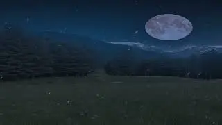 Relaxing Moonlight Video | Pahalgam Kashmir