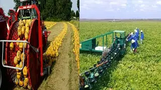 Amazing Agriculture Machines that another level you must watch