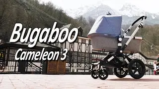 Bugaboo Cameleon 3 - Boan Baby Stroller Review