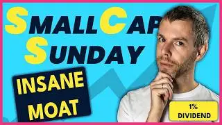 Should you buy this heavy MOAT stock on discount? │ SmallCap Sunday