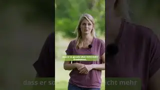 Ein typischer Fehler beim Rückruf