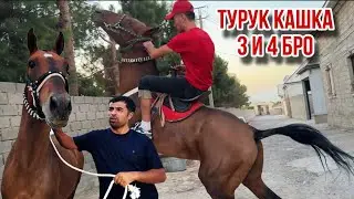 Aspi Naim Egilik Turuk Kashka August 31, 2025.