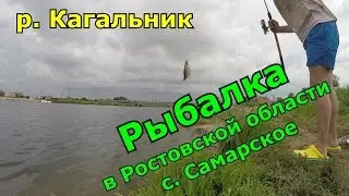 #ПроРЫБАЛКУ - Рыбалка в Ростовской области. Река Кагальник. Село Самарское.
