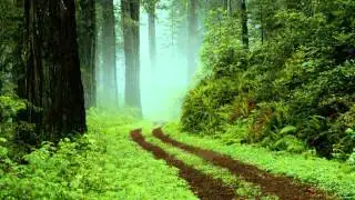 Andrej Doubrovski - На дороге любви... 2 (Original Song)