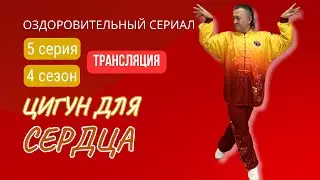 💥 ЦИГУН ДЛЯ СЕРДЦА | Трансляция 5 серии. 4 сезон. 