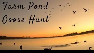 Farm Pond Goose Hunt / 6 man LIMIT!