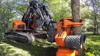 Amazing Modern Wood Faster Cutting Machine, Amazing Tree Cutting Machine Compilation In The World
