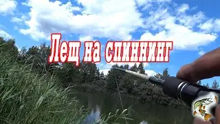 Шел за щукой, поймал леща