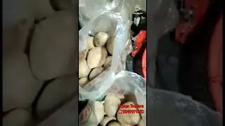 dry 🌴🥥🌴 Copra traders ☎️91488 88092