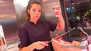 Bares, Música y tiempo de ocio en Malaga