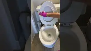5 min toilet cleaning in less than 30 secs