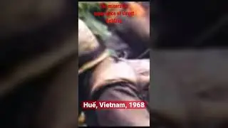 Streets of Huế, 1968 (battle of Huế)