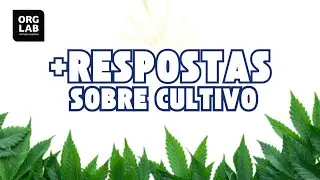 DÚVIDAS SOBRE CULTIVO C4N4BICO?