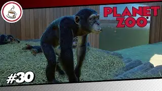 SCHIMPANSEN GEHEGE #30 «» Zoologisk Have Danmark - PLANET ZOO Let's Play | Deutsch German