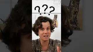 ¿Cuántos LEONES 🦁 quedan en la actualidad? | Documental de ANIMALES SALVAJES