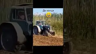 Трактористы в поле #тракторист #мтз #полевые #mtz80