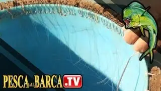 Come pescare le ORATE con il palamito - parte 1 | Pesca dalla barca TV