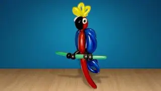 Parrot from balloons Twisting