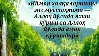 Ман манлигинг курсин...Фозил кори