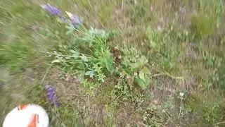 Пьяный футбол от первого лица