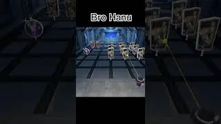 Bro Hanu HSR