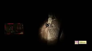 Desarrollo un Juego de Terror y Streamer lo Prueban