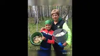 любимый учитель