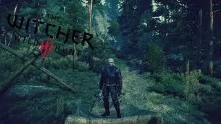 Отсылка на сериал Игра Престолов (The Witcher 3)