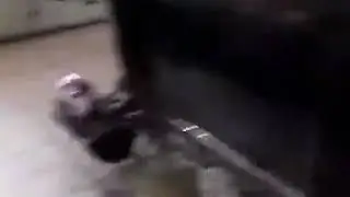 Классная тачка лексус