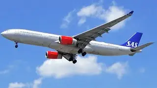 EX-STAR ALLIANCE | Scandinavian Airlines (SAS) Airbus A330-300 Landing at Newark Airport