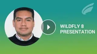 Wildfly 8 Launch Community Presentation