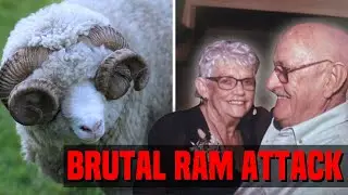 The Brutal Recent New Zealand Ram Attack