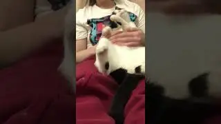 Mommy Penny