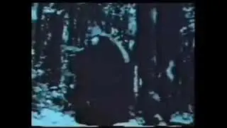 Crimewatch : 1980s Titles
