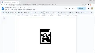 How to Insert the DOCUMENT WITH PICTURE Symbol in Google Docs