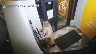 Прекрасный пол