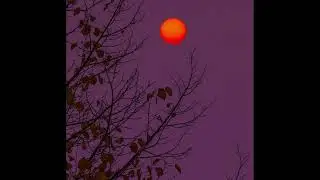 [FREE] Frank Ocean & Daniel Caesar Type Beat | "RELIEVED"