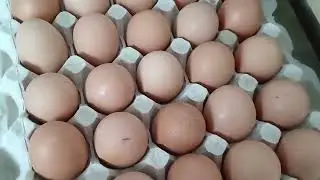 ВСЕ ДІЗНАЛАСЯ І ПРИЦІНИЛАСЯ...