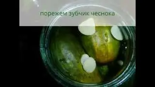 хрустящие огурчики на зиму