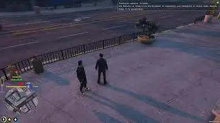 net test  stream