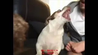 Mr. Bubz Vocal Range