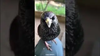 Как мило.
