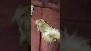 Бру-булу-бра-ба-бла-бааааааааааа 🤣😂😅