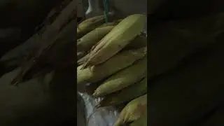 sweet 🌽