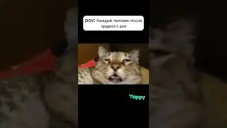 #subscribe