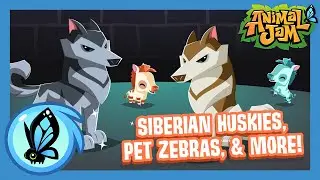 What's Coming to Animal Jam? | July Update