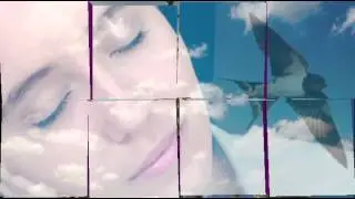 Ласточка Видео фильм