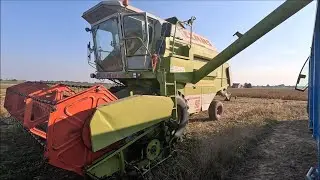 Koszenie Soi u Szymka/ Izolowanie Hedera Taśmą/ Class i Fend w Akcji