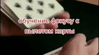 Редкий фокус с картами